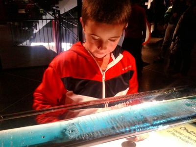 Preme para ver a foto ampliada