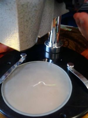 Preme para ver a foto ampliada