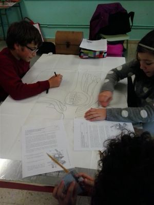 Preme para ver a foto ampliada