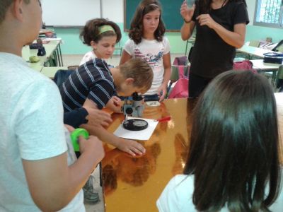 Preme para ver a foto ampliada