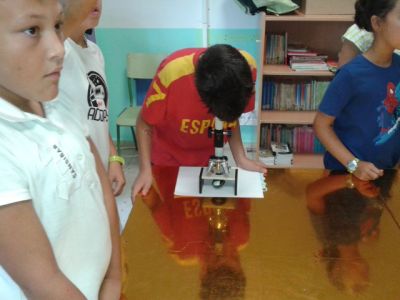 Preme para ver a foto ampliada