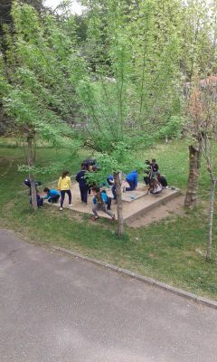 Preme para ver a foto ampliada