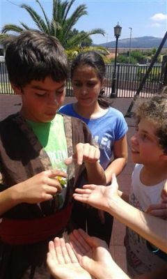 Preme para ver a foto ampliada