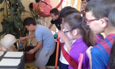 Preme para ver a foto ampliada