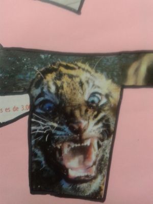 Preme para ver a foto ampliada