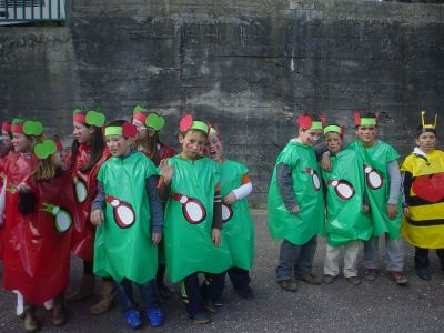 Preme para ver a foto ampliada