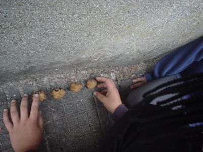 Preme para ver a foto ampliada