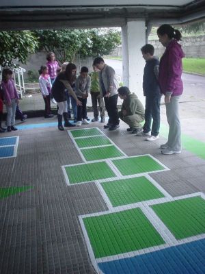 Preme para ver a foto ampliada