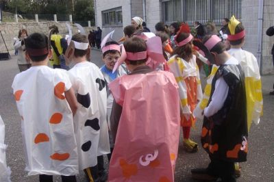 Preme para ver a foto ampliada