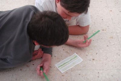 Preme para ver a foto ampliada