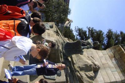 Preme para ver a foto ampliada