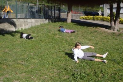 Preme para ver a foto ampliada