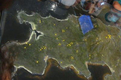 Preme para ver a foto ampliada