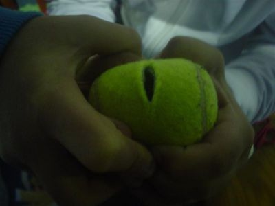 Preme para ver a foto ampliada