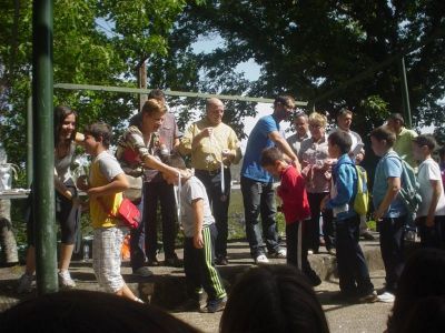 Preme para ver a foto ampliada