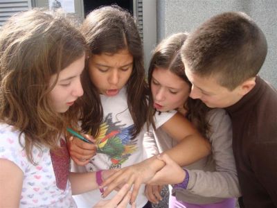 Preme para ver a foto ampliada