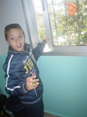 Preme para ver a foto ampliada