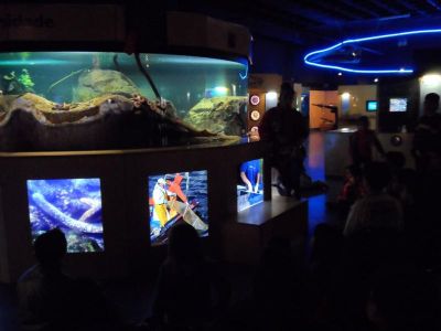 Preme para ver a foto ampliada