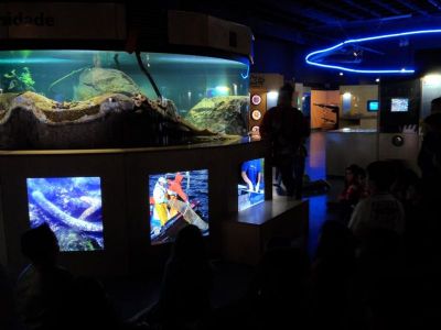 Preme para ver a foto ampliada