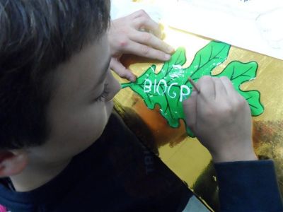 Preme para ver a foto ampliada