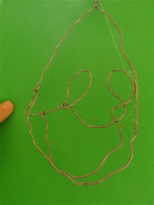 Preme para ver a foto ampliada