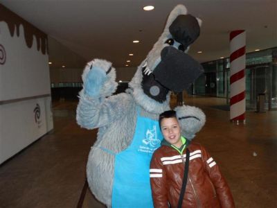 Preme para ver a foto ampliada