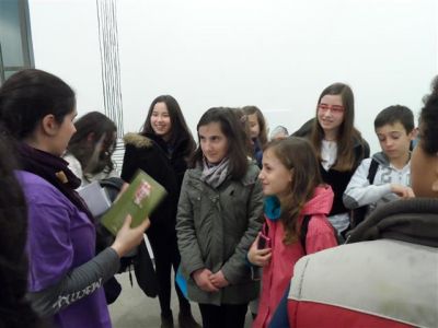 Preme para ver a foto ampliada