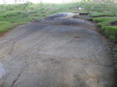 Preme para ver a foto ampliada