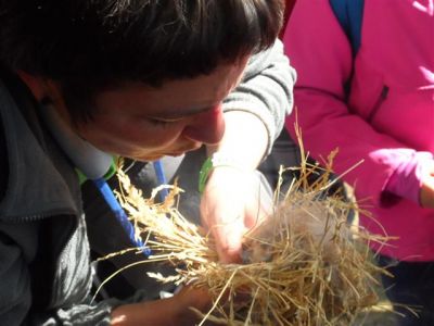 Preme para ver a foto ampliada