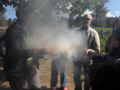 Preme para ver a foto ampliada