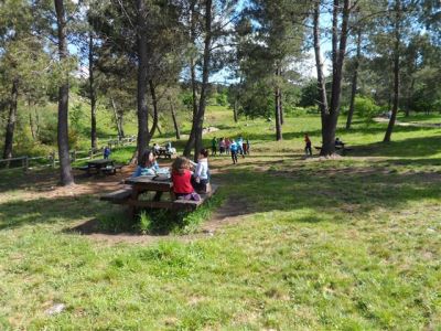 Preme para ver a foto ampliada