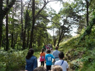 Preme para ver a foto ampliada