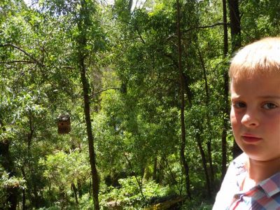 Preme para ver a foto ampliada