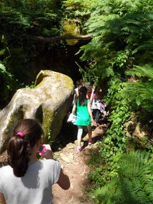 Preme para ver a foto ampliada