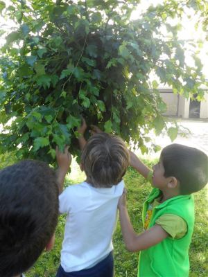 Preme para ver a foto ampliada