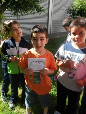 Preme para ver a foto ampliada