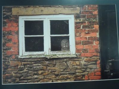 Preme para ver a foto ampliada