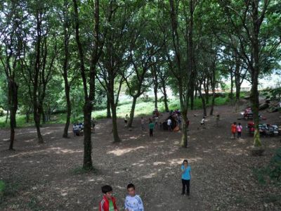 Preme para ver a foto ampliada