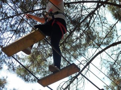 Preme para ver a foto ampliada