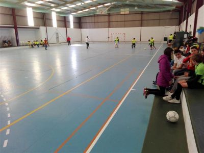 Preme para ver a foto ampliada