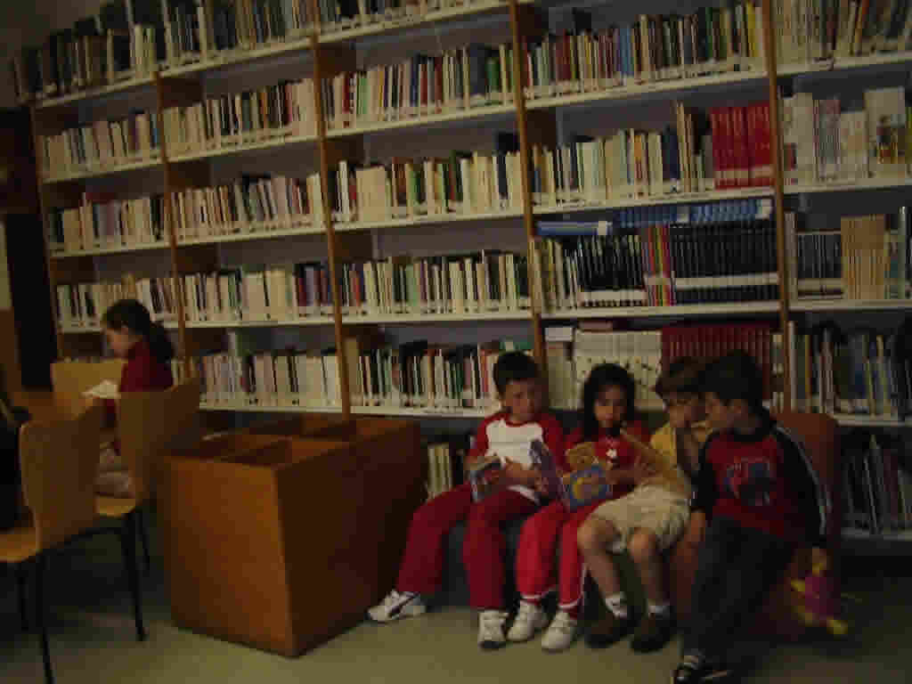 O curruncho preferido