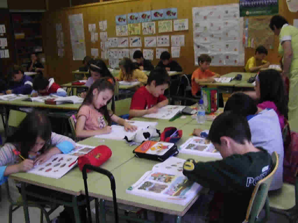 2� de primaria traballando