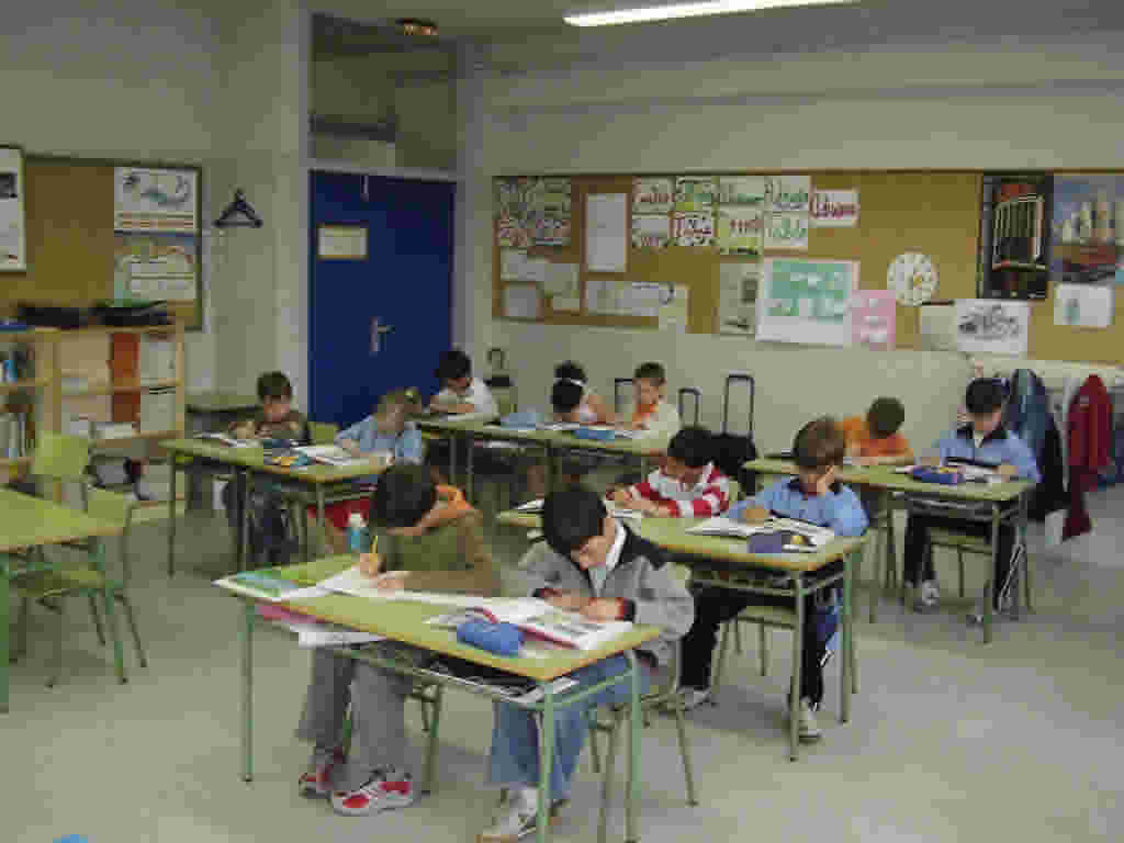 Primaria 2