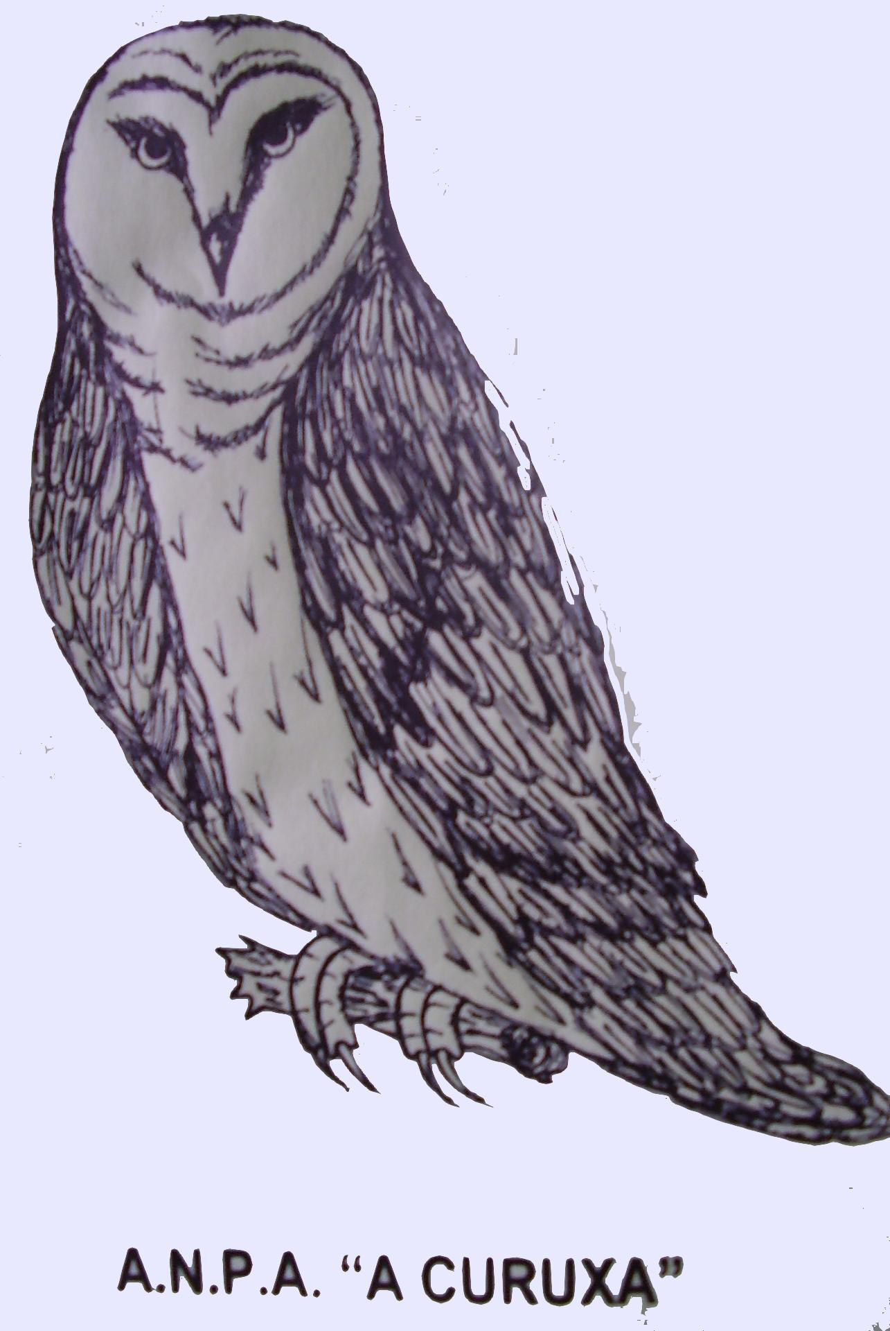 Logotipo ANPA a CURUXA