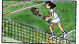 tennis.gif