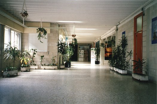 entrada o colexio