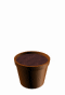 plant9.gif (21796 bytes)