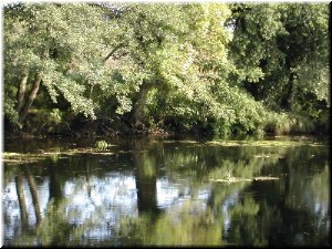 Vai a p&aacute;xina da auga