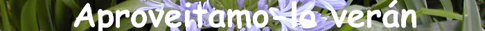 Aproveitamo-lo ver&aacute;n