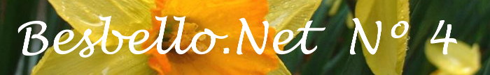 Besbello.Net  N&ordm; 4